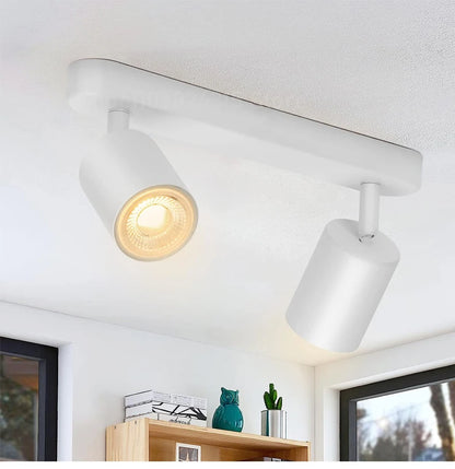 Zenthra Dimbare GU10 Plafondlamp - Perfecte Verlichting voor Thuis en Winkels